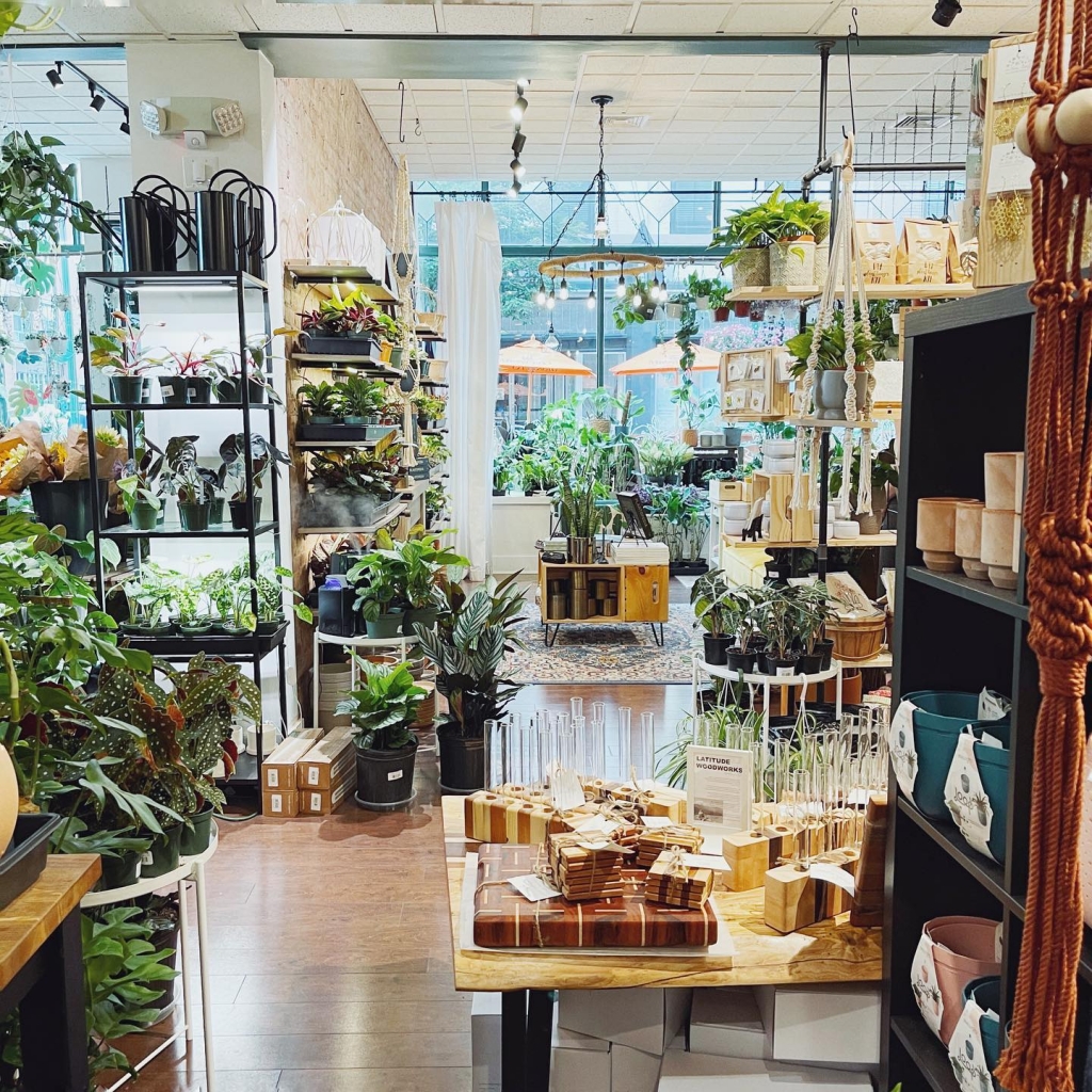 An inside shot of the Bark and Vine store full of indoor house plants and planters.